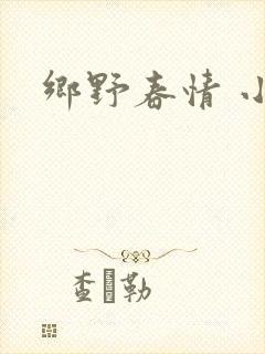 乡野春情 小说