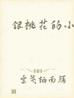 银桃花的小说