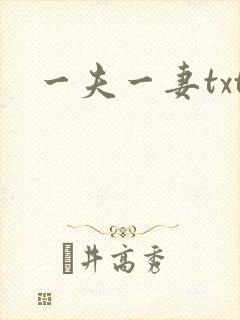 一夫一妻txt