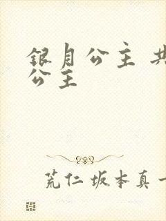 银月公主 共享公主