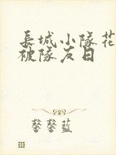 长城小队花木兰被队友日