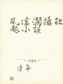 风沧澜摄政王穿越小说