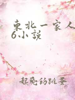 东北一家人1一6小说
