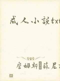 成人小说txt