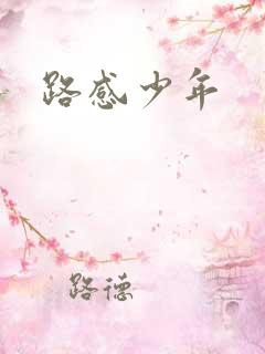 路感少年