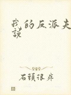 我的反派夫君小说
