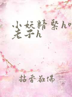 小妖精紧h嘶爽老子h