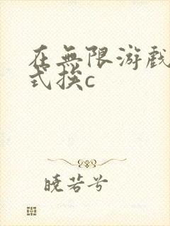在无限游戏里花式挨c
