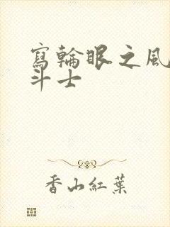 写轮眼之风流圣斗士