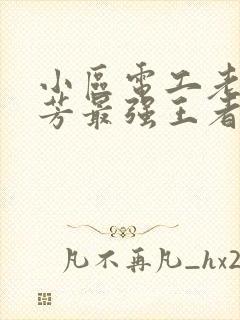 小区电工老周刘芳最强王者