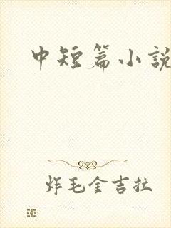 中短篇小说集