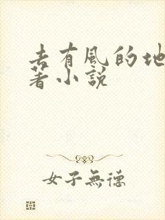 去有风的地方原著小说