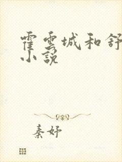 霍云城和舒情的小说