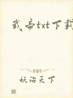 武帝txt下载