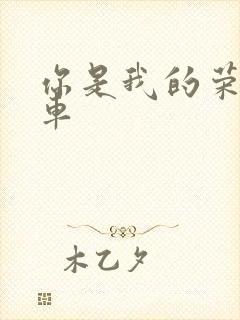 你是我的荣耀肉车