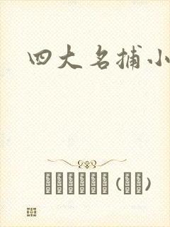 四大名捕小说