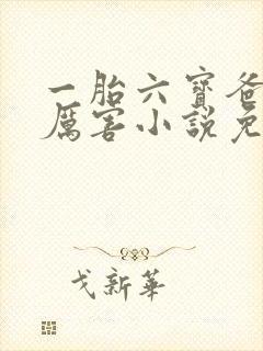 一胎六宝爸比好厉害小说免费阅读