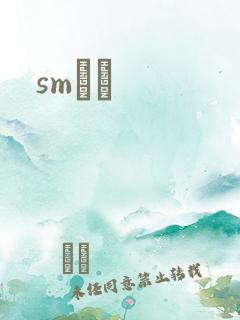 smˮŰ