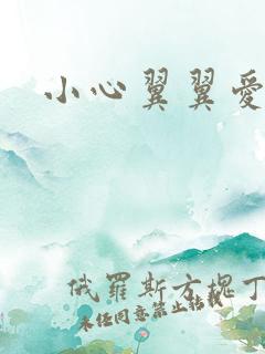 小心翼翼爱上你
