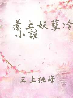 惹上妖孽冷殿下 小说