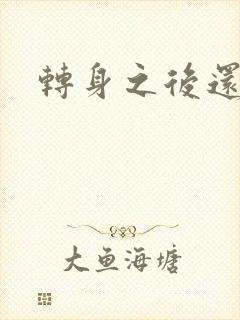 转身之后还是你