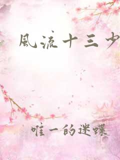 风流十三少