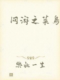 网游之菜鸟江湖