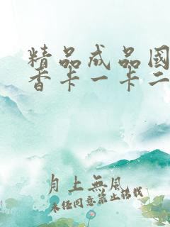 精品成品国色天香卡一卡二摄像头