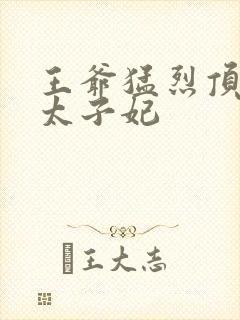 王爷猛烈顶弄H太子妃