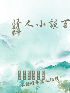 情人小说百度百科