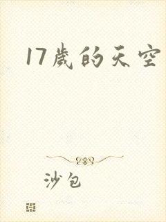 17岁的天空