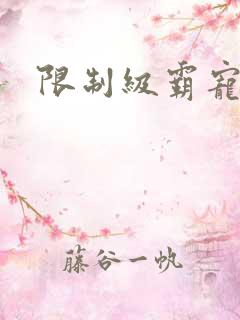 限制级霸宠