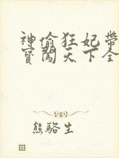 神偷狂妃带着宝宝闯天下全文免费阅读