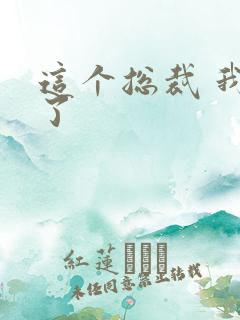 这个总裁 我要了