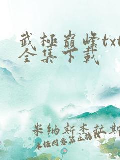 武极巅峰txt全集下载