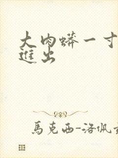 大肉蟒一寸一寸进出