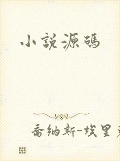 小说源码