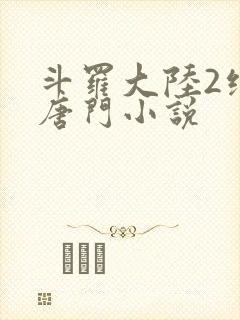 斗罗大陆2绝世唐门小说