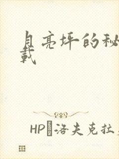 月亮坪的秘密下载