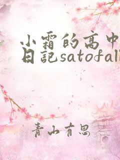 小霜的高中成长日记satofall