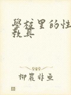 学校里的性教学教具