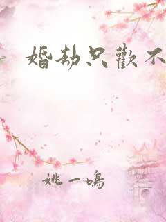 婚劫只欢不爱