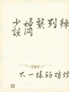 少妇系列辣文小说网