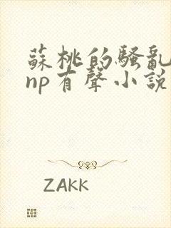 苏桃的骚乱文肉np有声小说