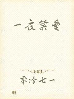 一夜禁爱