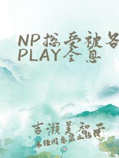 NP总受被各种PLAY全息