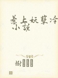 惹上妖孽冷殿下 小说