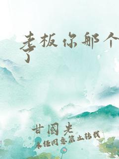 老板你那个太长了