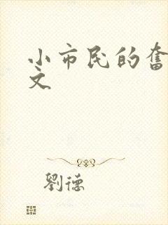 小市民的奋斗燃文