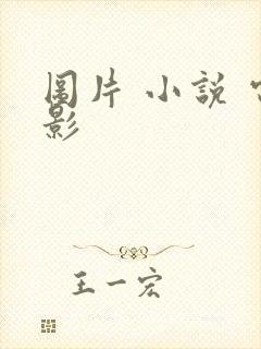 图片 小说 电影